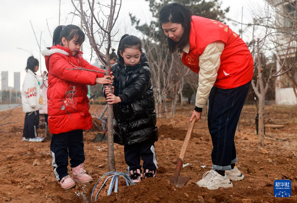 plant trees