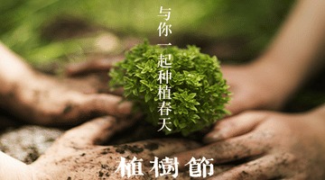 The Arbor Day